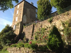 IMG 0207 IMG 0207
